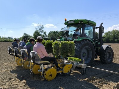Suradnja Timac Agra s Agroduhanom - sadnja duhana