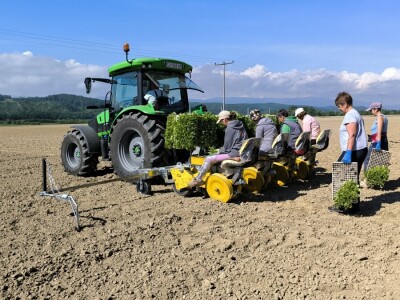 Suradnja Timac Agra s Agroduhanom - sadnja duhana
