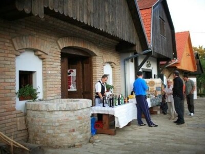 Surduk festival, Baranja