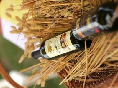 Surduk festival, Baranja