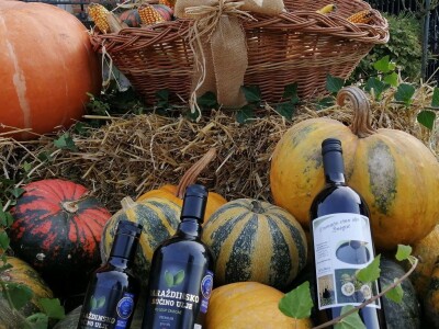 Suša je prepolovila i očekivani urod buča uljarica