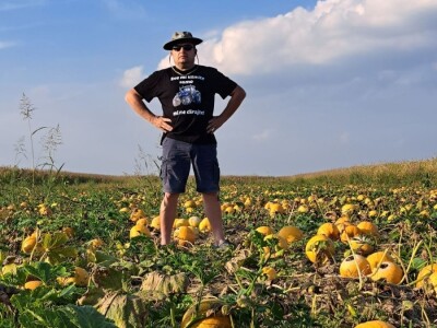 Suša je prepolovila i očekivani urod buča uljarica