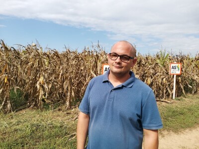 Suša ostavila traga na kukuruzu Suša ostavila traga na kukuruzu