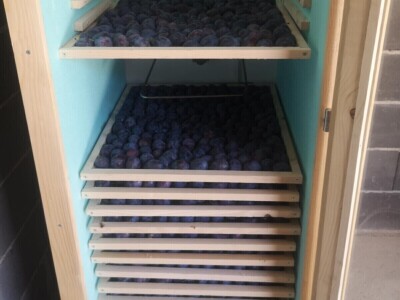 Sušara Ediba Balića i pogon za preradu Asima Dedića Sušara Ediba Balića i pogon za preradu Asima Dedića