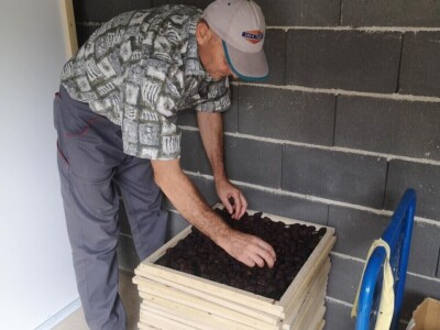 Sušara Ediba Balića i pogon za preradu Asima Dedića Sušara Ediba Balića i pogon za preradu Asima Dedića