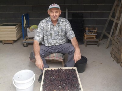 Sušara Ediba Balića i pogon za preradu Asima Dedića Sušara Ediba Balića i pogon za preradu Asima Dedića