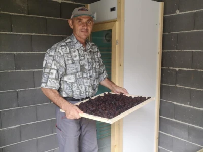 Sušara Ediba Balića i pogon za preradu Asima Dedića
