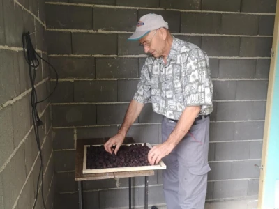 Sušara Ediba Balića i pogon za preradu Asima Dedića