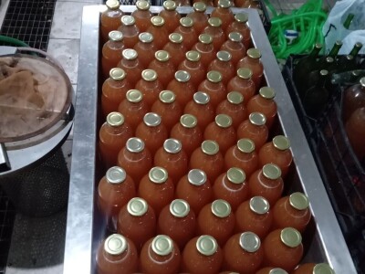 Sušara Ediba Balića i pogon za preradu Asima Dedića Sušara Ediba Balića i pogon za preradu Asima Dedića