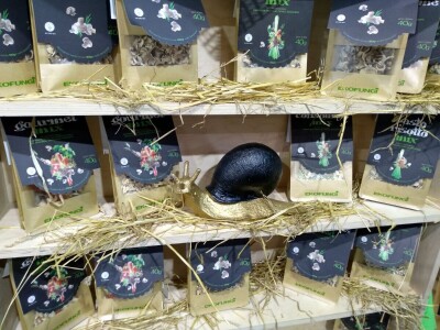 Sušene pečurke Ekofungi