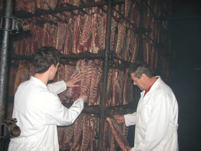 Sušenje dalmatinske pancete u pršutani Mijukić-Prom Sušenje dalmatinske pancete u pršutani Mijukić-Prom