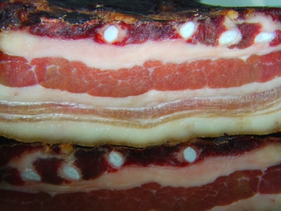 Sušeno meso - Dejan Azdejković