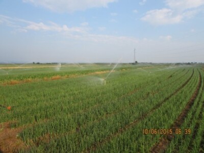 PP Dražen Đurdek, okolica Varaždina - Nedeljanec