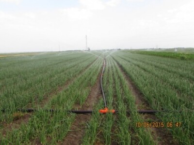 PP Dražen Đurdek, okolica Varaždina - Nedeljanec