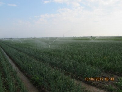 PP Dražen Đurdek, okolica Varaždina - Nedeljanec