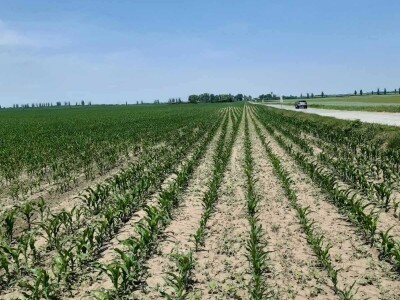 Sustavima navigacije do uštede sjemena, pesticida, gnojiva i goriva