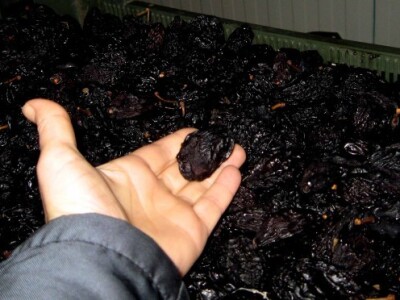 Suve šljive ove godine imale dobru cenu, ali šta će biti sledeće?