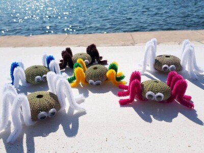 OPG MAĐERIĆ PAŠMAN: Dok 87-godišnji svekar Branko kopa, nevjesta Ljiljana osvaja nove oznake HOP-a