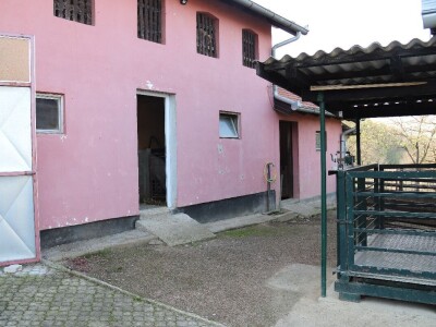 Suzana sama vodi brigu oko 15 krmača