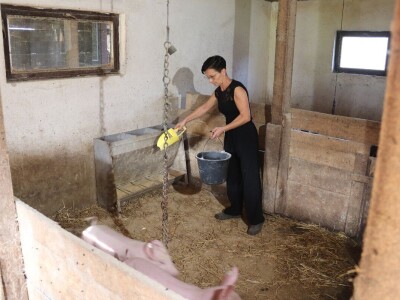 Suzana sama vodi brigu oko 15 krmača