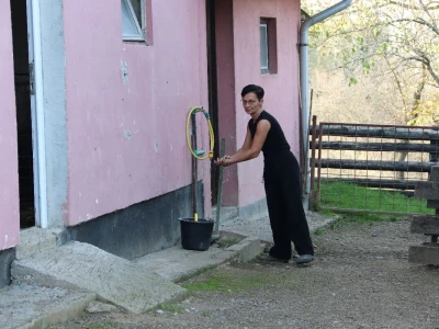 Suzana sama vodi brigu oko 15 krmača