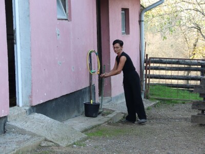 Suzana sama vodi brigu oko 15 krmača