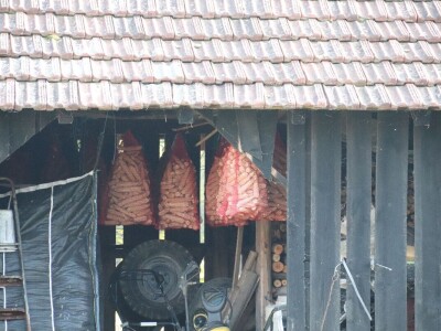 Suzana sama vodi brigu oko 15 krmača