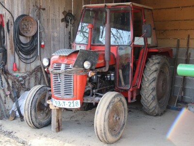 Suzana sama vodi brigu oko 15 krmača