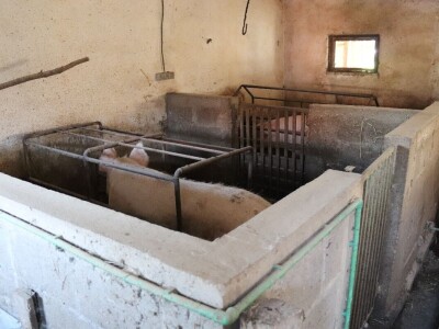 Suzana sama vodi brigu oko 15 krmača