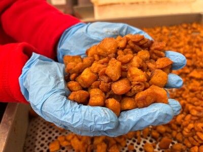 Sve o putu jednog čvarka