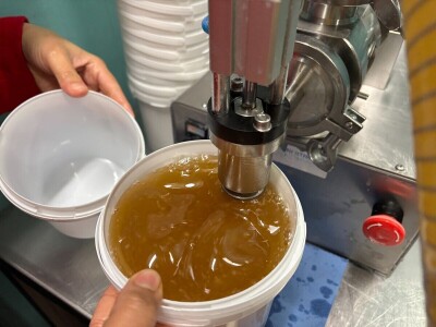 Sve o putu jednog čvarka