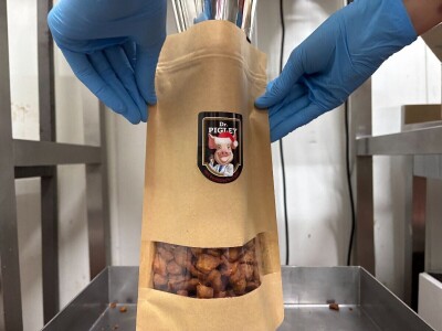 Sve o putu jednog čvarka