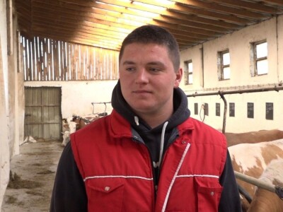 SVE VIŠE MALIH PROZVOĐAČA MLEKA GASI SVOJE FARME