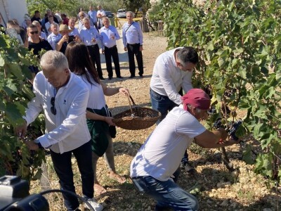 SVEČANOST BERBE U ZADARSKOJ ŽUPANIJI - Vukšićki bećari zapjevali Radoslavu Bobanoviću: "Oj Sokole legenda si živa!"