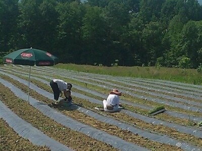 Svekrva i snaja mogu zajedno Svekrva i snaja mogu zajedno
