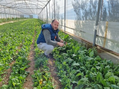 SVEMIR VRSALJKO - Izigran za posao u Biogradu osigurao egzistenciju za sebe i obitelj u opustjelom selu Jagodnja Donja