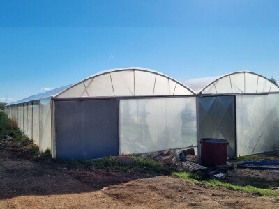 SVEMIR VRSALJKO - Izigran za posao u Biogradu osigurao egzistenciju za sebe i obitelj u opustjelom selu Jagodnja Donja