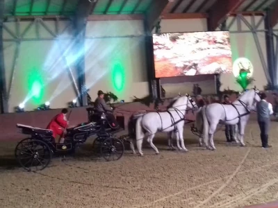 Sveti Hubert na ergeli