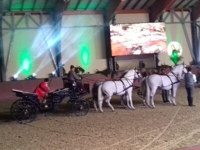 Sveti Hubert na ergeli