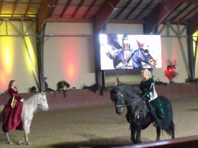 Sveti Hubert na ergeli