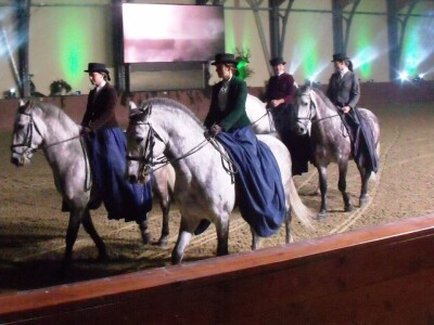 Sveti Hubert na ergeli