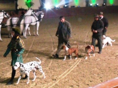 Sveti Hubert na ergeli