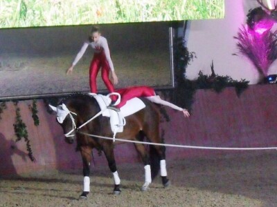 Sveti Hubert na ergeli