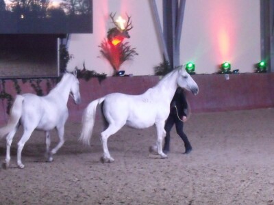 Sveti Hubert na ergeli