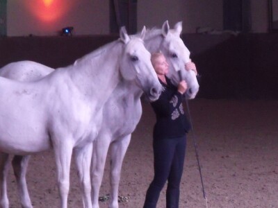 Sveti Hubert na ergeli