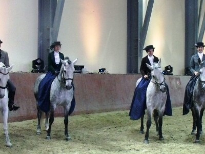 Sveti Hubert na ergeli