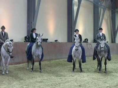 Sveti Hubert na ergeli