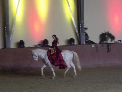 Sveti Hubert na ergeli