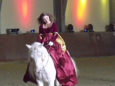 Sveti Hubert na ergeli