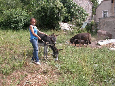 Svetlana Vuica sa svojim magarcima na maloj farmi u Cisti Velikoj